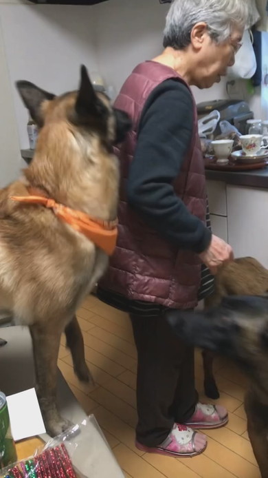 おばあちゃんにおんぶをねだるワンコ