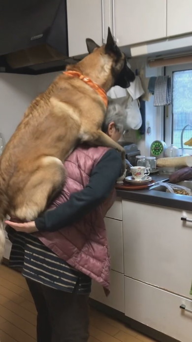 おばあちゃんにおんぶをねだるワンコ