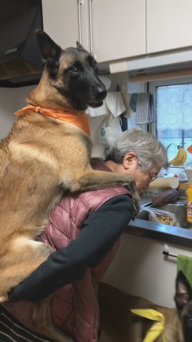 おばあちゃんにおんぶをねだるワンコ