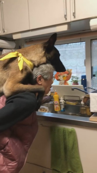 おばあちゃんにおんぶをねだるワンコ