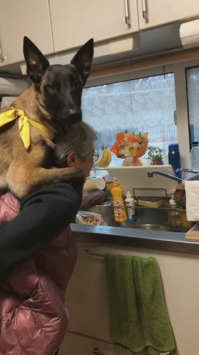 おばあちゃんにおんぶをねだるワンコ