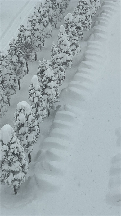 北海道の雪 北海道の“雪のヤバさ”が伝わる写真に460万表示の反響 衝撃的な