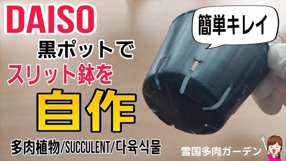 DAISO黒ポットの驚きリメイク