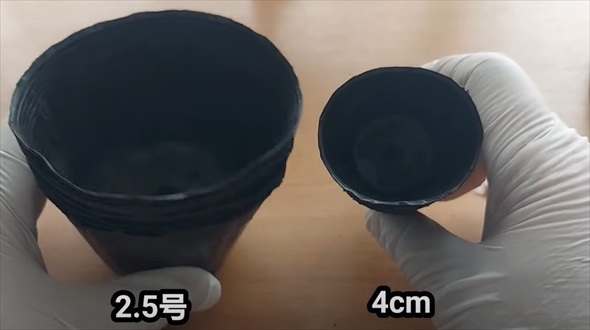 DAISO黒ポットの驚きリメイク