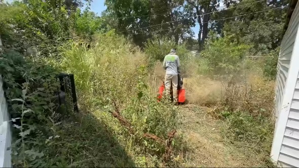 プロが裏庭を大掃除
