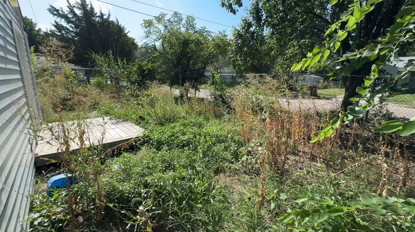 プロが裏庭を大掃除