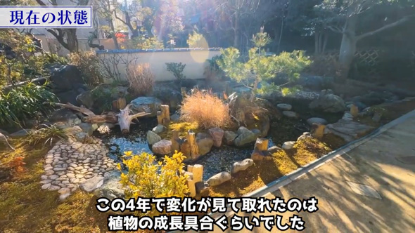 日本庭園 完成後 変化 冬 4年後 ビフォーアフター