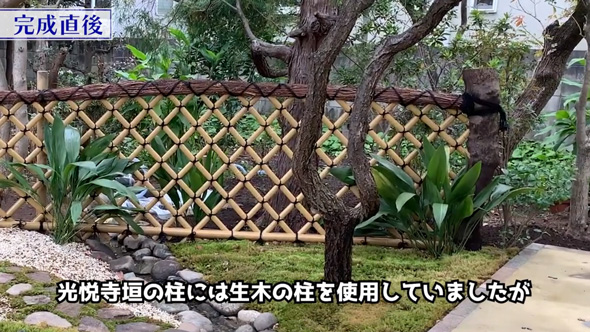 日本庭園 完成後 変化 冬 4年後 ビフォーアフター