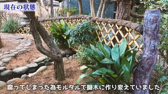 日本庭園 完成後 変化 冬 4年後 ビフォーアフター