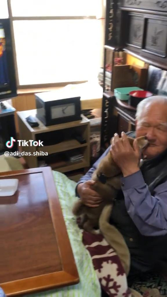 おじいちゃんを激しくなめる柴犬