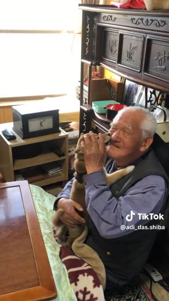 柴犬の顔を押さえるおじいちゃん
