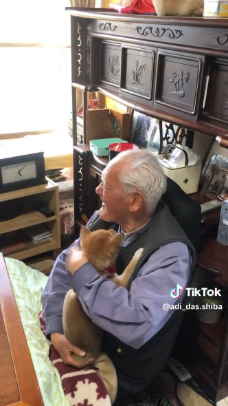 やっとなめるのをやめた小柴犬