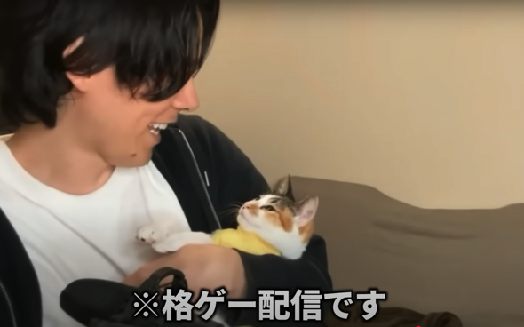 次の日も格ゲー配信を止める猫