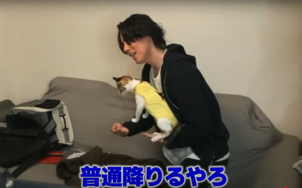 絶対に降りようとしない猫