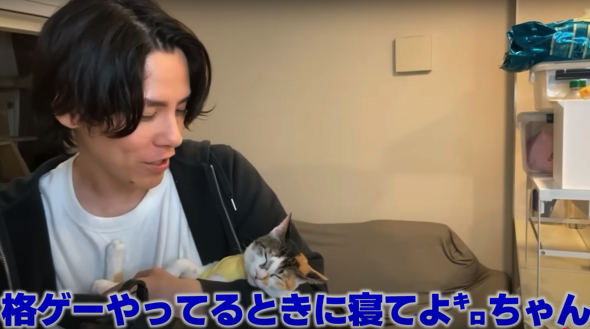 配信が終わると赤ちゃんのように眠る猫