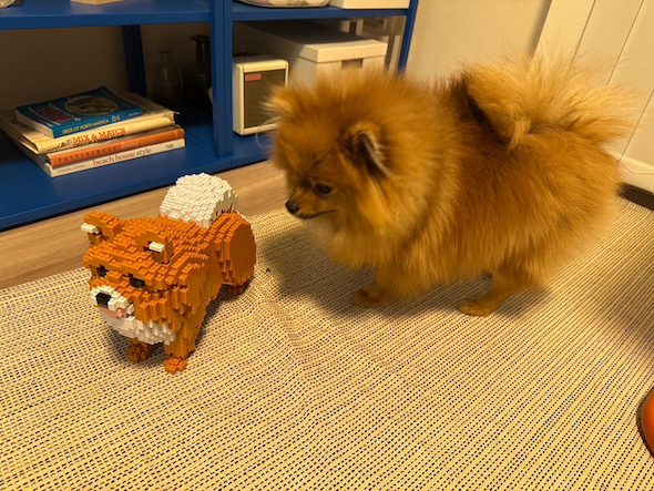 みかんちゃんも興味しんしん