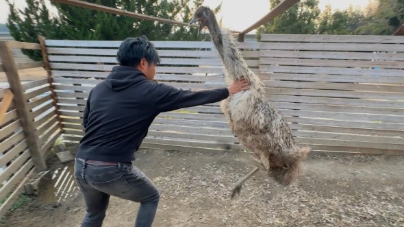 暴れるまめちゃんとのやりとり