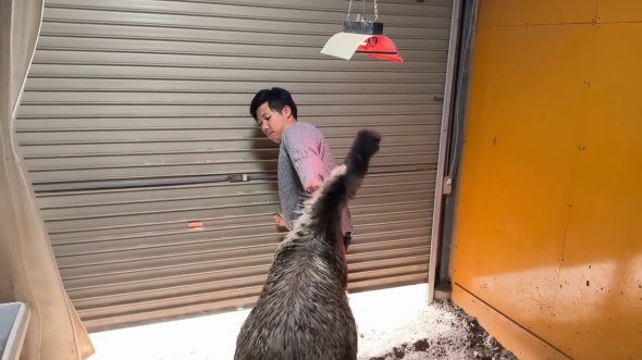 背後に気を付けつつ作業