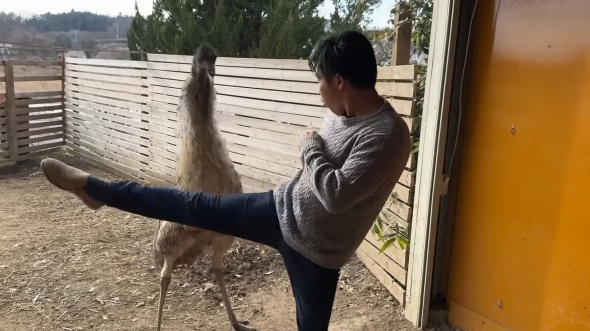 鰐さんもするどい蹴りを披露