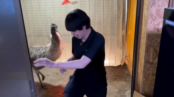 ビックリしながら部屋の外へ