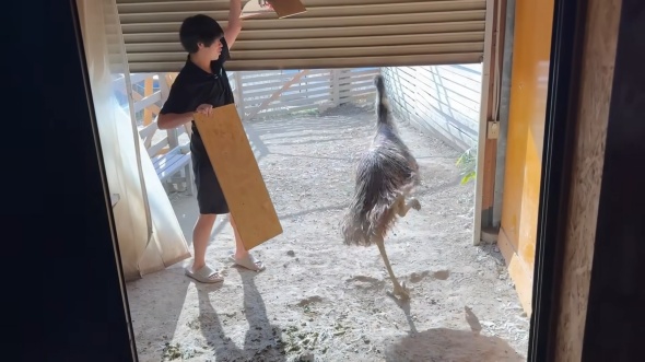 外に出すことに成功！