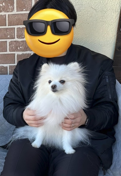 パパの膝をとられたワンコ