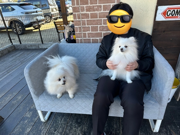 パパの膝をとられたワンコ