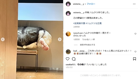 巨大なハムケツ