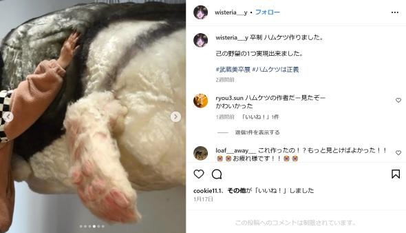 巨大なハムケツ