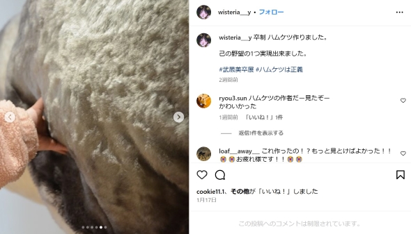 巨大なハムケツ