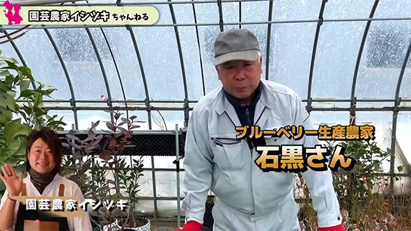 ブルーベリー生産農家