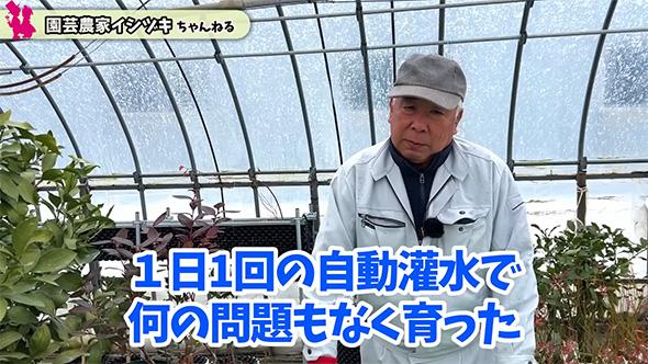 1日1回の
