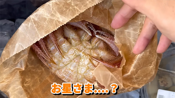お星さま…？