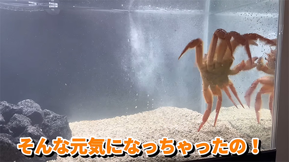 そんな元気に