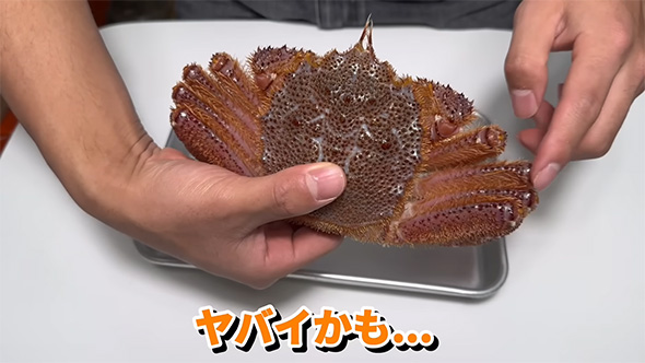 ヤバイかも