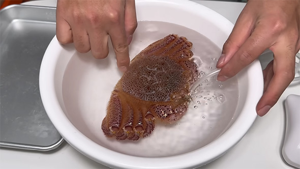 洗面器の中のカニ