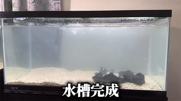 水槽完成