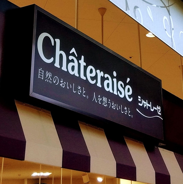 何が起きているのかわからないほど絶品のシャトレーゼ・半熟ガトーフロマージュ