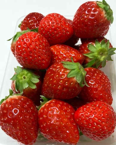 粘土で作ったいちご