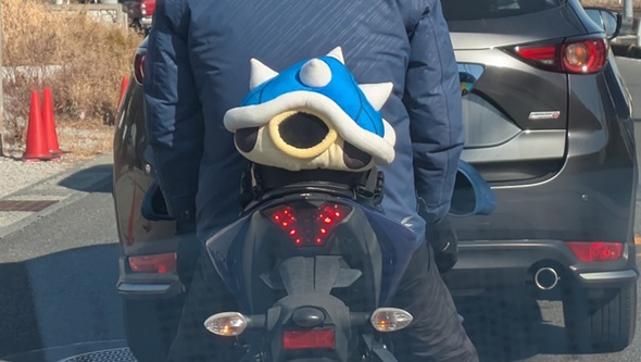 バイクに積まれているトゲゾーこうら