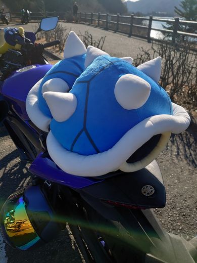 バイクに積まれているトゲゾーこうら