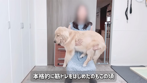 本格的に筋トレ