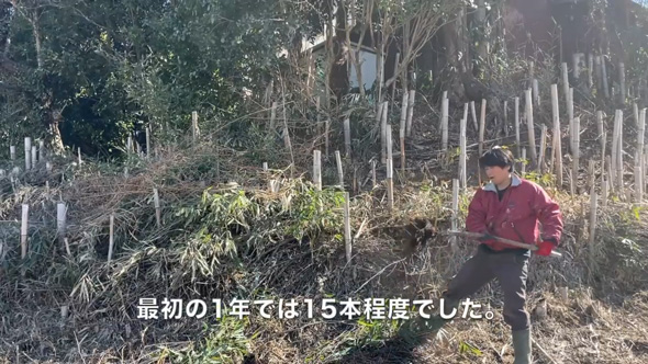 庭 竹 対策 戦い 1メートル切り 3年 結果 ビフォーアフター