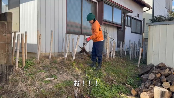 庭 竹 対策 戦い 1メートル切り 3年 結果 ビフォーアフター