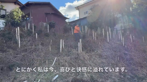 庭 竹 対策 戦い 1メートル切り 3年 結果 ビフォーアフター