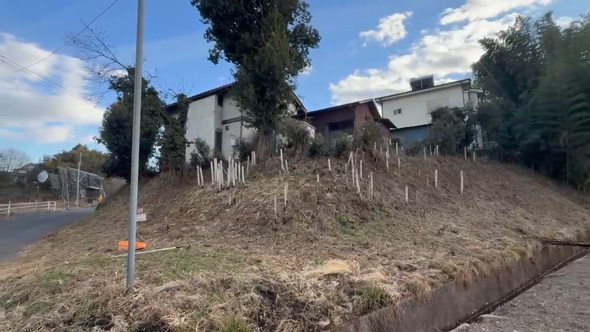 庭 竹 対策 戦い 1メートル切り 3年 結果 ビフォーアフター