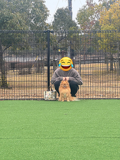 ドッグランになじめないワンコ