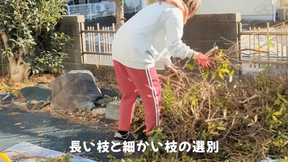 処分に向けて解体したツツジの枝を分別する