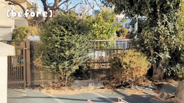 植物が伸び放題になっていた作業前の庭