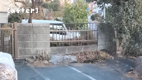 低い庭木が切り株になった作業後の庭